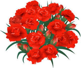 carnation06-003.jpg