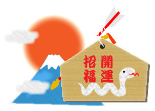 fuji-san-pics2229.jpg